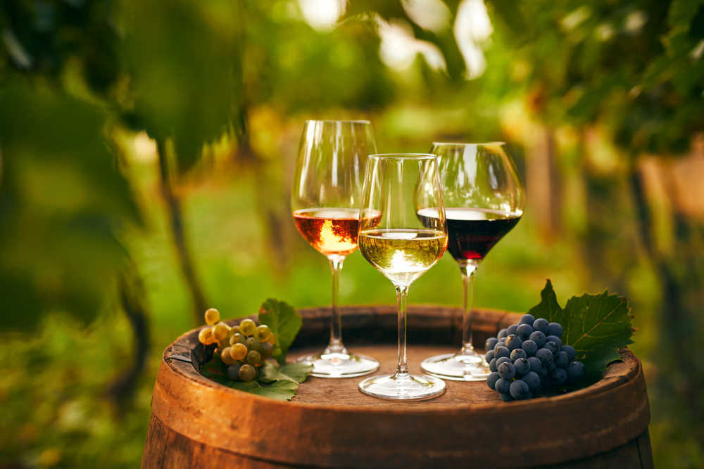 Los tipos de uva más usados en España para vino